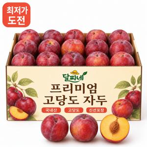 [재구매1위] 신선특가 노지 자두 산지직송