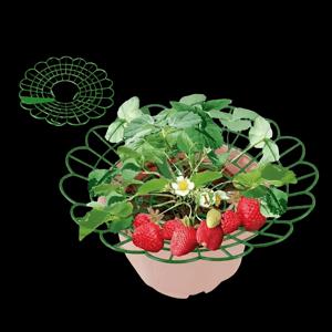 트레이 포함 플라스틱 딸기 재배 프레임 5개, 정원 발코니 화분용 덩굴식물 및 과일용 지지대, 썩음 방지 딸기 홀더, 형광 초록색 딸기 재배 프레임, 곰팡이 및 썩음에 강한 튼튼한 스탠드, 농장용으로 적합한 실용적인 마당 수납대