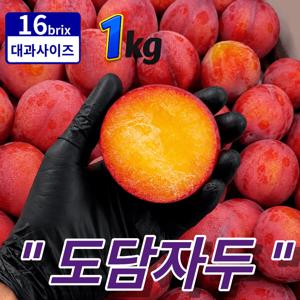 [왕특 대과] 새콤달콤 과즙폭발 제철 신선한 추희 자두, 1kg - 80g 내외