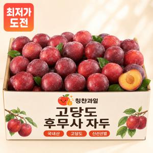[이번주초특가] 프리미엄 후무사 자두 중대과 800g