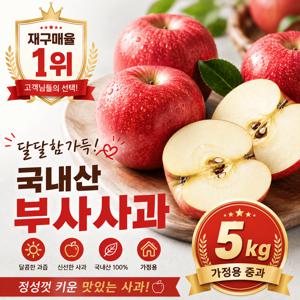 [재구매율1위] 달달함 가득! 국내산 부사사과 가정용 중과 5kg