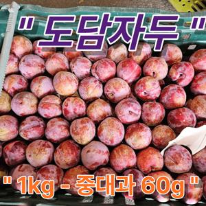 [당일수확 산지직송] 경북 새콤달콤 도담자두, 1박스, 추희자두 중대과 1kg