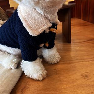 가을 겨울용 두꺼운 보온 강아지 고양이 버클 플리스 재킷 테디 요크셔 베어 소형 강아지 옷