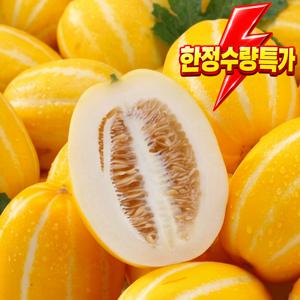 [한정특가] 성주꼬마꿀참외 2kg 당도선 산지직송