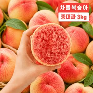 [특선품] 과즙 가득 큼직하고 단단한 차돌복숭아 3kg