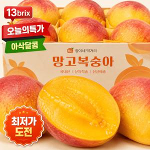[50박스한정] 프리미엄 당도선별 망고 복숭아 989g