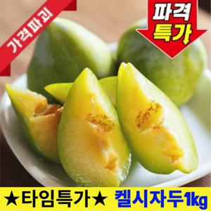 [제철특가] 국내산 켈시자두 1kg 초록빛 아삭한 제철 생과 알뜰 실속형