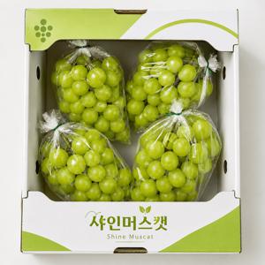 당일수확! 당도선별 샤인머스캣 청포도 998g