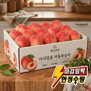[제철특가] 1999g 고당도 차돌복숭아 아삭한복숭아