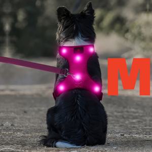 라이트업 LED 강아지 하네스 - 탈착식 배터리 내장형 노풀 LED 강아지 하네스 - 충전식 & 세탁 가능 LED 강아지 조끼 - 소형, 중형, 대형 강아지용 발광 강아지 산책 및 캠핑 하네스