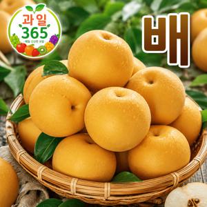 100& 국내산 가정용 배 3kg 소과 10-15과