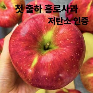 국내산 영천 홍로사과,중대과/2000g/10과 이내