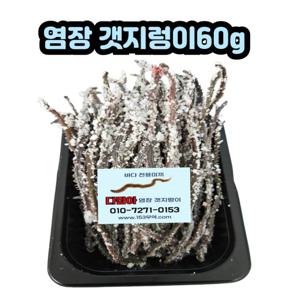 염장갯지렁이60g낚시용미끼바다선상갯바위