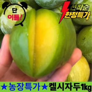[가격파괴] 국내산 켈시자두 1kg 한정수량 이색 제철자두 알뜰 실속형