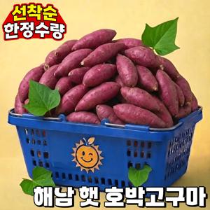 [특가!] 달콤사르르촉촉 해남 햇 호박고구마 2.01kg내외 (한입)
