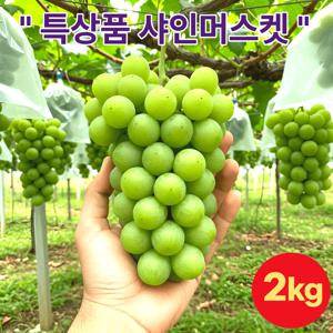 샤인머스켓 2Kg 고당도 망고포도, 1박스, 2Kg 5수
