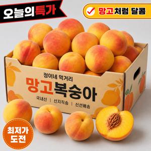 [첫수확30박스] 프리미엄 망고 복숭아 신품종 1.001kg