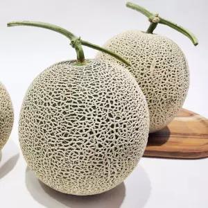 국내산 고당도 머스크멜론 메론 2수 개당 2kg 총 4kg 내외