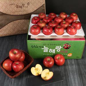 청송꿀사과 고당도 얼음골 햇 홍로 10kg 5kg 선물용