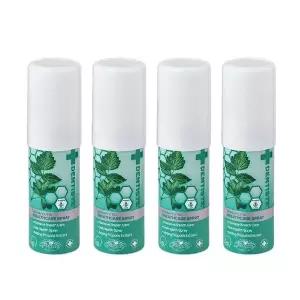 덴티스테 브레스 스프레이 15ml x 4개