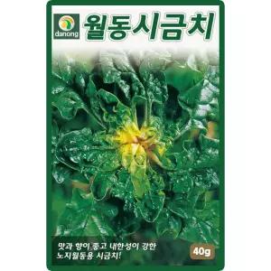 산들마켓 월동시금치 씨앗 40g 노지 월동재배 시금치씨 종자
