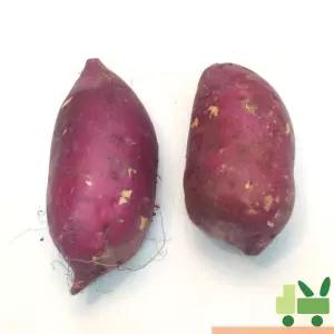 호박고구마 2Kg (왕/대/긴왕/긴대)