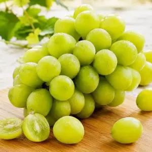 국내산 경북 샤인머스캣 달콤한 제철 포도 망고향 샤인머스켓 2kg (5~6수)