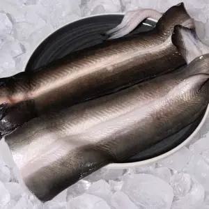 국내산 자포니카 민물장어 선물세트 1kg