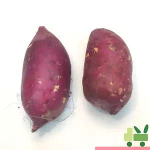 호박고구마 5Kg (왕/대/긴왕/긴대)
