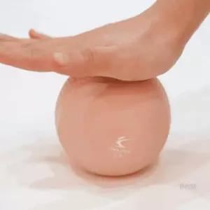 요가볼 밸런스운동 홈트레이닝기구 소프트 토닝볼 0.5KG 샌디 로즈 2P