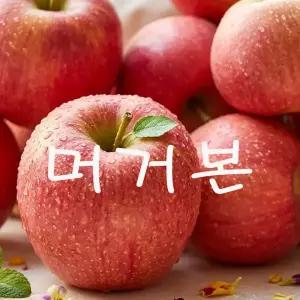 청송 안동사과 부사 이지플 홍로 못난이 열과 흠과 5kg