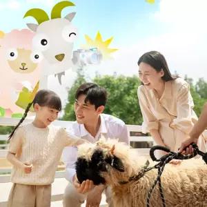 안성팜랜드 입장권(9/1~9/13 이용가능)