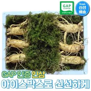 [GAP 인증 수삼] 6-5년근 인삼 아이스박스 선물세트, 농부가 선별한 삼을 신선하게 보내드려요, 명절 한가위 추석 선물, 상견례 첫인사 사돈