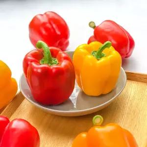 못난이 파프리카 빨강/노랑[사이즈혼합] 1kg