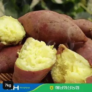 [NS홈쇼핑]해남 화산농협 햇 밤고구마 3.5kg+3.5kg[36097287]