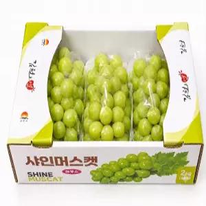 특품 고당도 샤인머스캣 농가 당도보장 2kg 추석 선물 샤인머스켓 백화점납품용 [원산지:경북 김천]