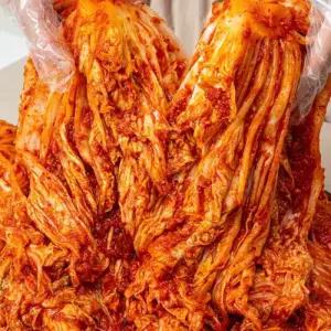 새벽팜 포기배추김치 5kg 10kg 국내산 100% 전라도 당일제조 참매실 새벽김치