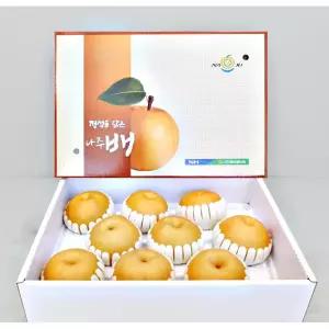 명절선물 나주배 특품 7.5kg 11-13과 과일 선물세트 설 추석 제수용 배