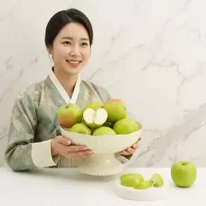 [착한식탁] 가정용 썸머킹 아오리 사과 10kg 꼬마소과