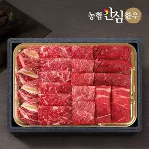 [농협안심한우][냉장][농협안심한우] 1등급 한우 모듬채반 1kg(등심+채끝+특수+불고기+국거리)