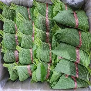 깻잎 20묶음(1묶음 12-15장내외)