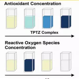 TPTZ(시약 1g / Frap Assay 금속이온 환원 항산화 활성산소 산화탈색반응실험)