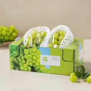 [농할 20% 할인쿠폰 다운로드]샤인머스캣 1.5kg 박스