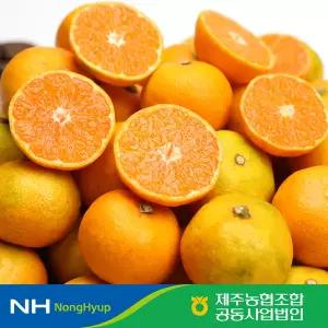 제주농협 하우스 감귤 4kg / 2S~L사이즈