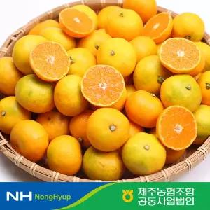 제주농협 하우스 감귤 3.5kg / 2S~L사이즈