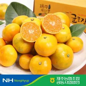 제주농협 하우스 감귤 2.5kg / 2S~L사이즈