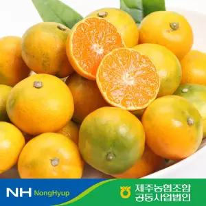 제주농협 하우스 감귤 1kg / 2S~L사이즈