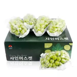 [과일예찬] 탐나는 샤인머스켓 선물세트 4kg(특5-6수)/에어셀 안전포장