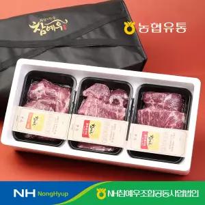 농협유통 참예우 한우 1등급 정육 실속세트 1호 1.2kg / 국거리800g, 장조림400g