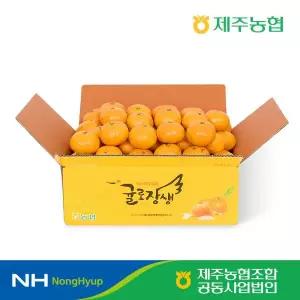 2026 귤로장생 하우스 감귤 1.5kg 과당 40g이상